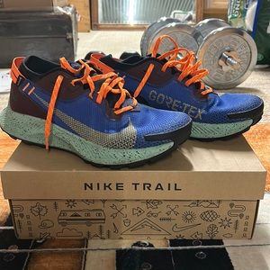Nike Pegasus GTX trail shoes